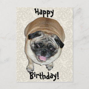 Carte Postale Anniversaire du chien de Carlin mignon
