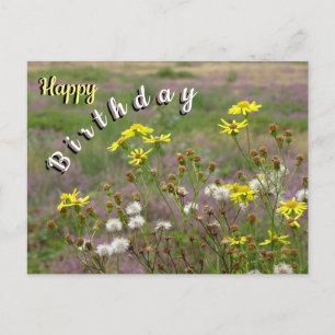 Carte postale Anniversaire Heath and White Yellow