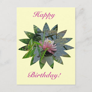 Carte Postale Anniversaire Pink Water Lily