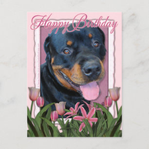 Carte Postale Anniversaire - Tulipes roses - Rottweiler - Harley