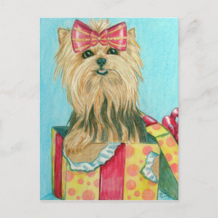 Carte Postale Anniversaire Yorkie