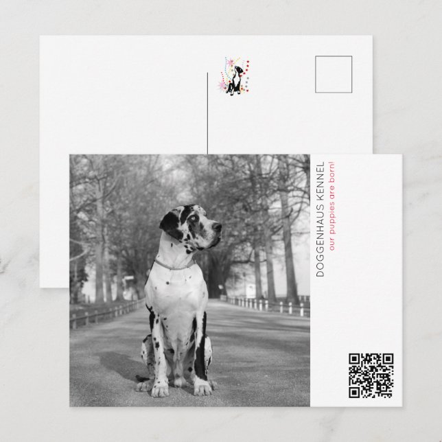 Carte Postale Annonce de chiots (Devant / Derrière)