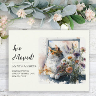Carte Postale Annonce de déménagement Chat Calico Marguerites La