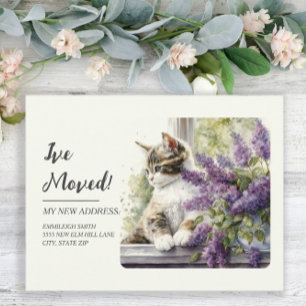 Carte Postale Annonce de déménagement Chat Fenêtre Fleurs de Lav