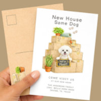 Annonce de déménagement de Bichon Frise dans sa no