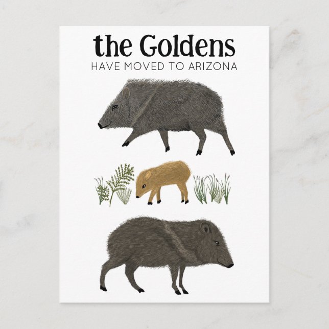 Carte Postale ANNONCE DE DÉMÉNAGEMENT Famille Javelina Désert Ar (Devant)