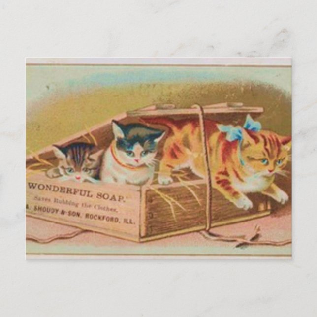 Carte Postale Annonce de savon Cutest Kittens (Devant)