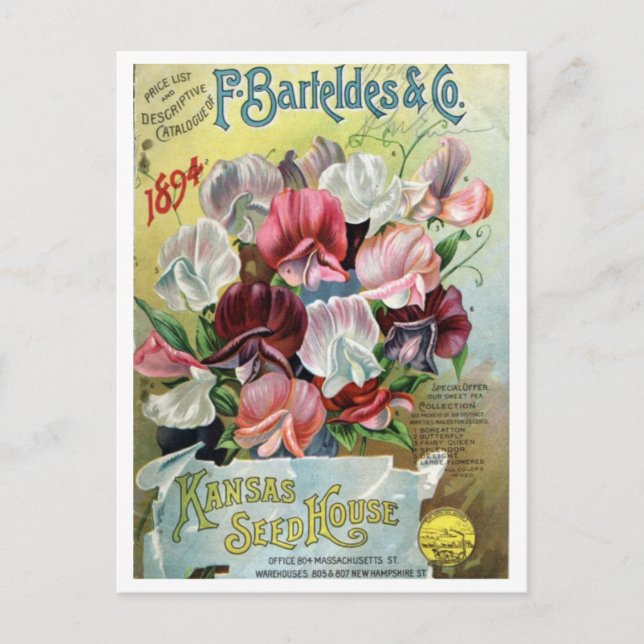 Carte Postale Annonce vintage de semences (Devant)