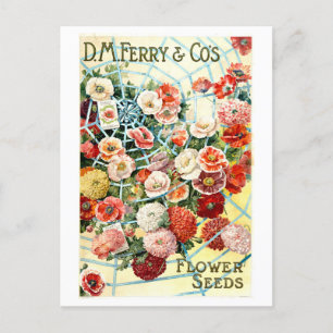 Carte Postale Annonce vintage des semences de fleur de traversie