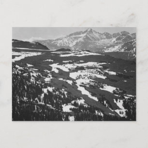 Carte Postale Ansel Adams
