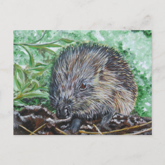 Carte Postale Ansichtkaart Egel.