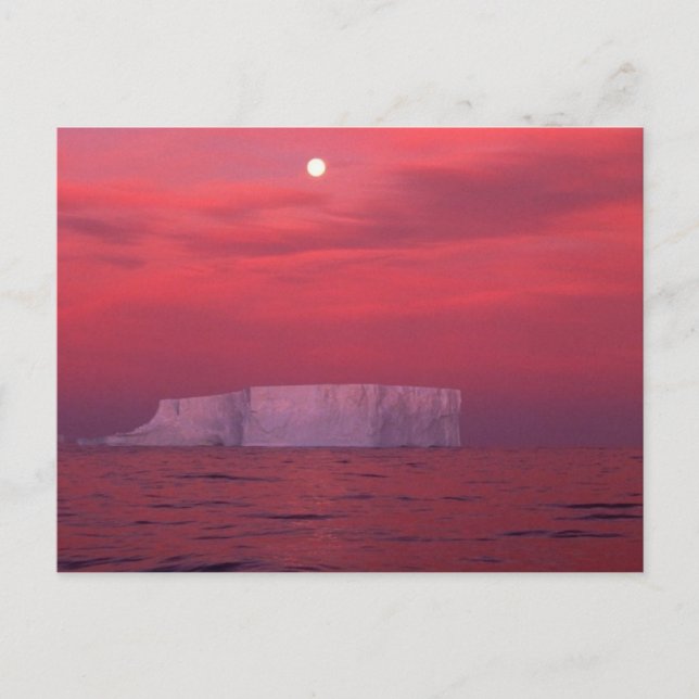 Carte Postale Antarctique (Devant)