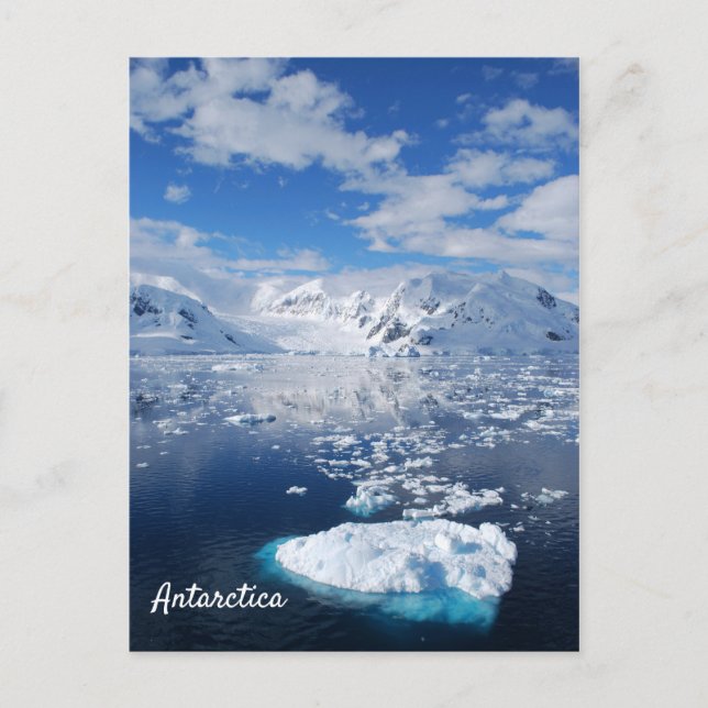Carte postale Antarctique (Devant)