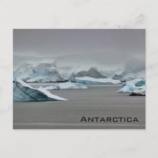 Carte Postale Antarctique (Devant)