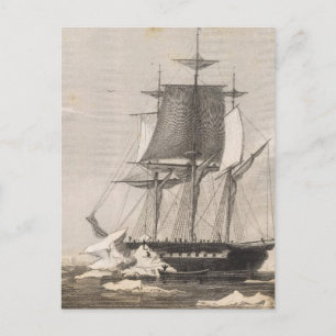 Carte Postale Antarctique 2