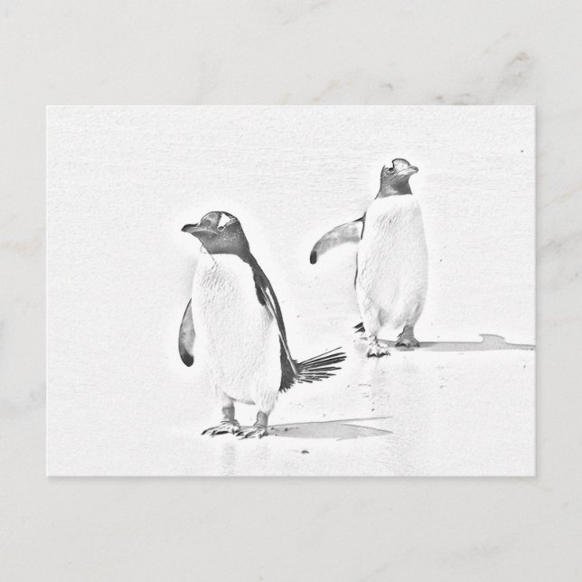 Carte postale Antarctique pour les pingouins color (Devant)