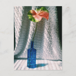 Carte Postale anthium et nature morte à la bouteille bleue