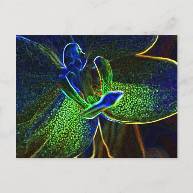 Carte postale Anthura Abstraite (Devant)