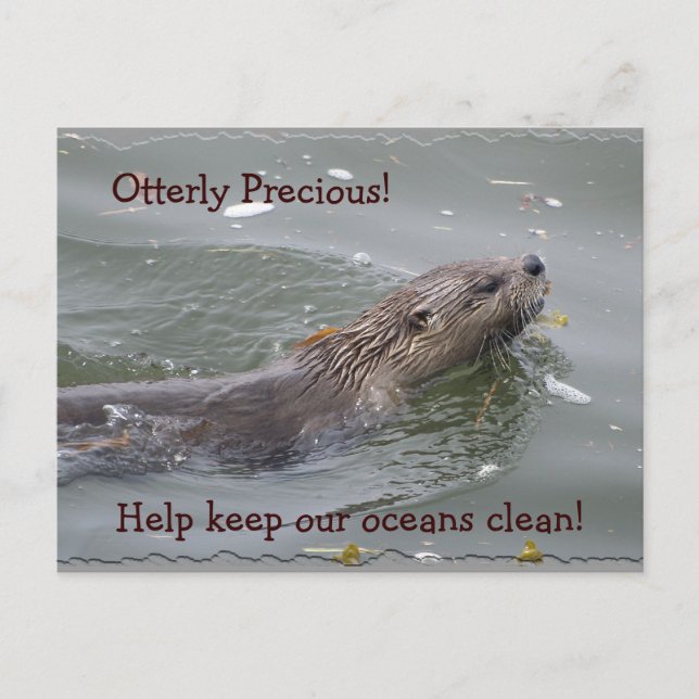 Carte postale anti-pollution de la loutre de mer (Devant)