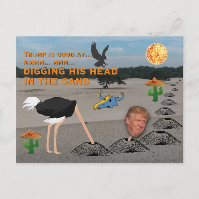 Carte Postale Anti Trump / Creuser la tête dans le sable, (Devant)