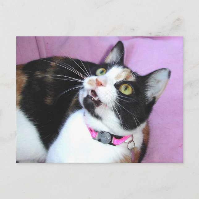 Carte Postale anticipation (Devant)