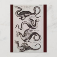 Antique 18ème siècle Dragon Engraving