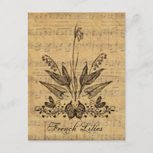 Carte Postale Antique Lillies Botanique