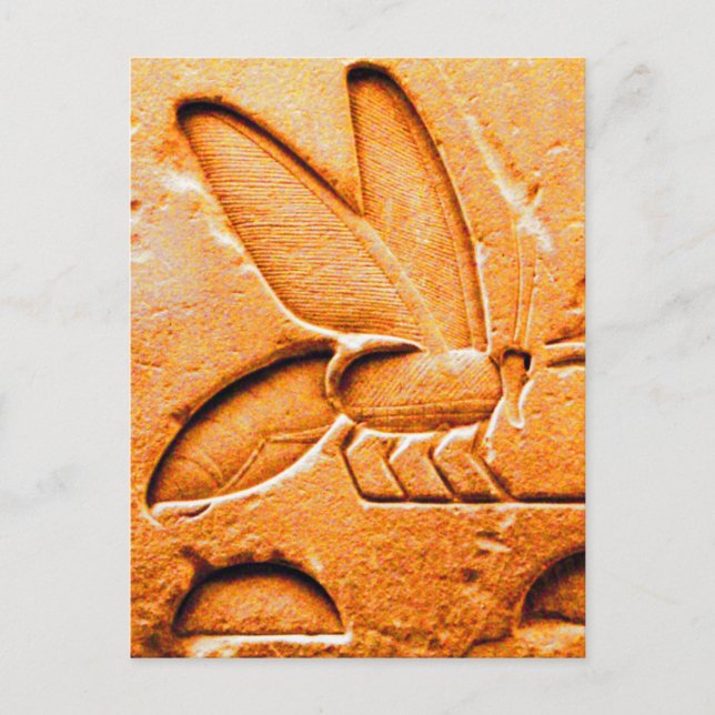 CARTE POSTALE ANTIQUE ORANGE JAUNE EGYPTIENNE HONEY BEE BEEKEEPE (Devant)