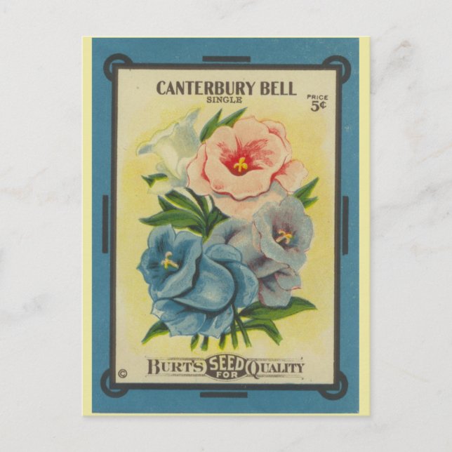 Carte Postale Antique Seed Packet Canterbury Bells (Devant)