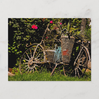 Carte Postale Antiquité de l'Arizona