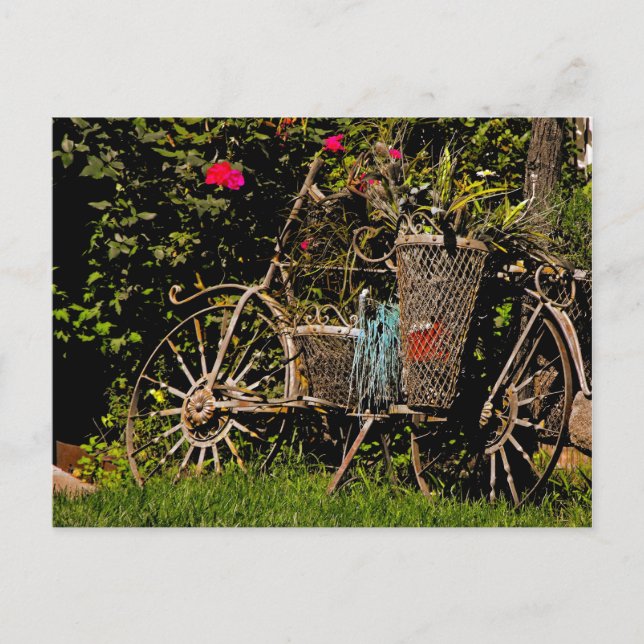 Carte Postale Antiquité de l'Arizona (Devant)