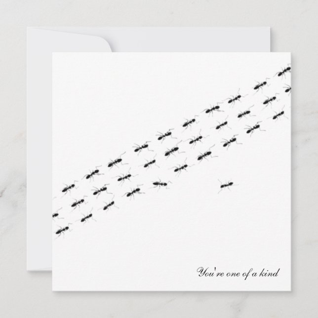 Carte postale Ants indépendante (Devant)