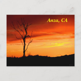 Carte postale Anza, Californie