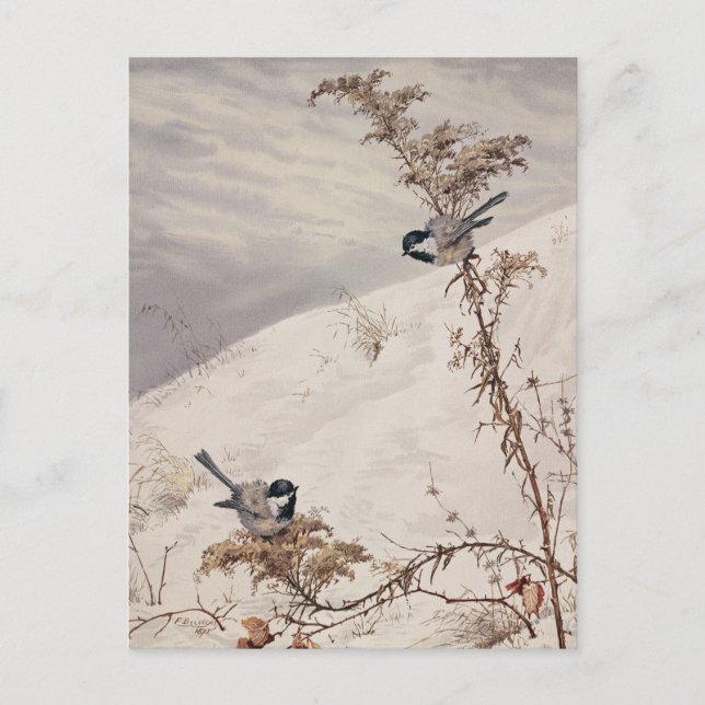 Carte Postale Aout | Ponts Fidelia (Devant)