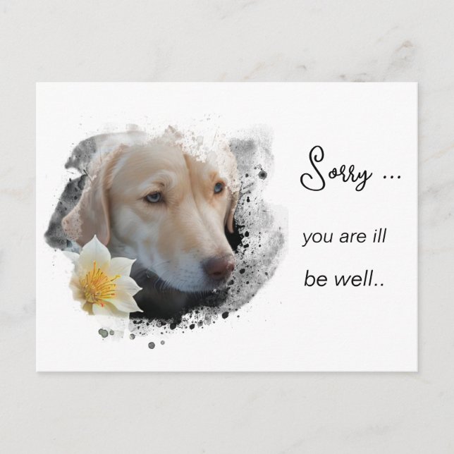 Carte Postale *~ AP61  Fleur Malade Bon rétablissement Chien Dor (Devant)