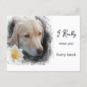 Carte Postale *~ AP61 Triste Fleur de Chien à cheveux court vous