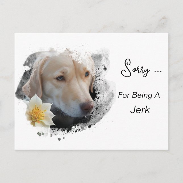 Carte Postale *~* AP61 Triste Retriever Lab Fleur Désolé Idiot (Devant)