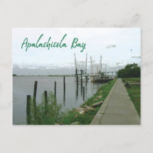 Carte Postale Apalachicola Bay Floride avec huîtres