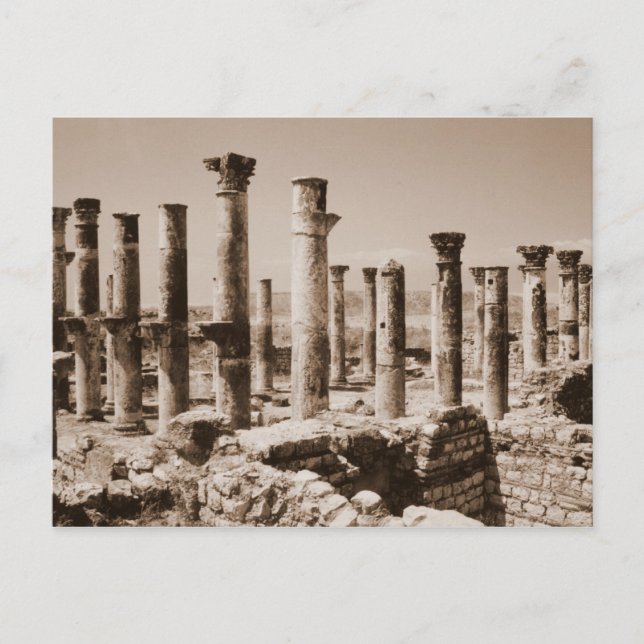 Carte Postale Apamea (Devant)