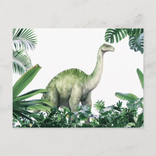 Carte Postale Apatosaurus dinosaure dans la jungle