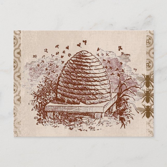 Carte Postale Apiculture vintage (Devant)