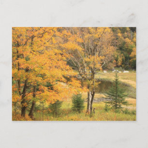 Carte Postale Appalachian Gap Pond Vermont