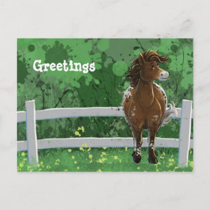 Carte Postale Appaloosa Peint Pony