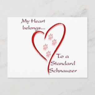 Carte Postale Appartenances cardiaques Schnauzer standard