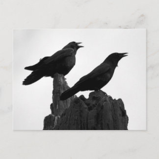 Carte Postale Appel du soir