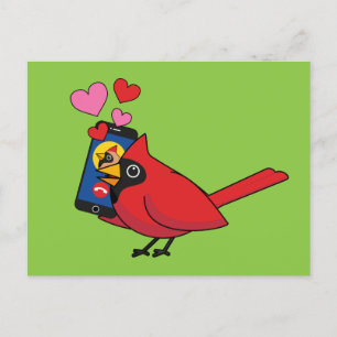 Carte Postale Appels d'accouplement Cardinal Bird Love