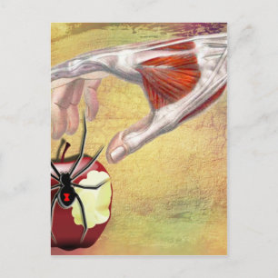 Carte Postale APPLE.jpg D'ADAM