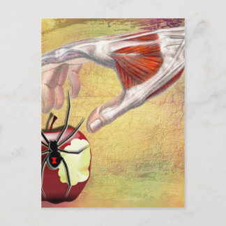Carte Postale APPLE.jpg D'ADAM