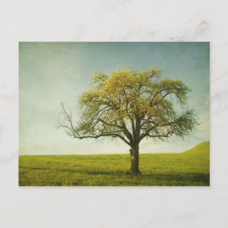 Carte Postale application