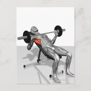 Carte Postale Appuie-banc inclinée 2